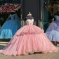 Blush Pink Princess Quinceanera Dresses 3D Floral Butterfly Boning Corset vestido de quinceañera 2024 Sweet 15 Prom Gown