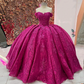 Fuchsia Quinceanera Dresses Mexican Sweetheart Puffy lace-up corset Off Shoulder Applique Luxury princess Vestidos De XV Anos