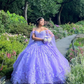 Mexico Ball Gown Purple Quinceanera Dress 2024 Sequin Beaded Flowers Appliques Sweet 16 Dress Vestidos De 15 Anos