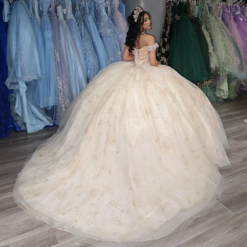 Light Champagne Princess Quinceanera Dresses Applique Flower Beads Tull Corset Sweet 16 Dress Vestidos De 15 Anos Birthday