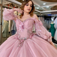 Pink Shiny Ball Gown Off the Shoulder Quinceanera Dresses 3D Flowers Appliques Lace Beads Tull Corset Vestidos De 15 Años