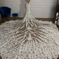 Arabia Lace Transparent Wedding Dress for Women Sheer Neckline Beading Sexy Long Mermaid royal train Bridal Gowns vestidos