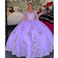 Lavender Sexy V-Neck Quinceanera Dresses Ball Gowns With Appliques Lace 3DFlower Tulle Sweet 16 Dress Court Train Vestidos De 15