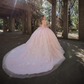 Princess Pink Bloom Puffy Gowns 3D Flower Beaded A-line Long Tulle Eveing Dresses With Train Garden Bridal Gowns