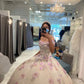 Stunning Off The Shoulder Floral Applique Quinceanera Dress Ball Gown Sweet 16 Dress