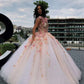 Princess Floral Flowers Ball Gown Quinceanera Dresses Sweet 16 Dress Prom Dresses Lace Appliques Puffy Princess Pageant