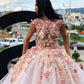 Princess Floral Flowers Ball Gown Quinceanera Dresses Sweet 16 Dress Prom Dresses Lace Appliques Puffy Princess Pageant