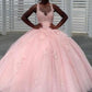 Princess Lace Scoop Debutante Gown Sweet 15 Ball Gown Quinceanera Prom Dresses,vestidos de fiesta de 15