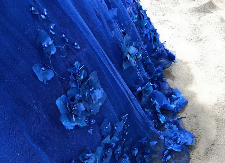 Royal Blue Quinceanera Dress Ball Gown With Appliques Sweet 16 Dress